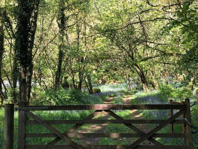 Down The Garden Path Vintage Caravan B&B , Dartmoor Newton Abbot Exterior photo