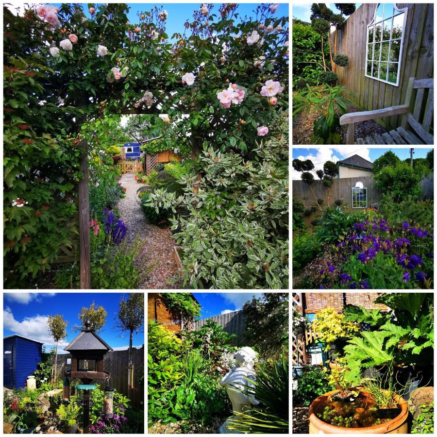 Down The Garden Path Vintage Caravan B&B , Dartmoor Newton Abbot Exterior photo